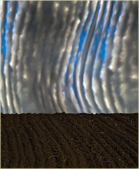 Moj deda, već dugo ore nebeske njive...