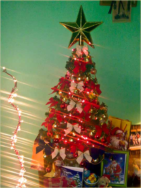 NajLepča NM jelka !!!