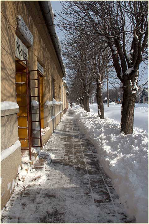 Ej Belić..., jal voleš...