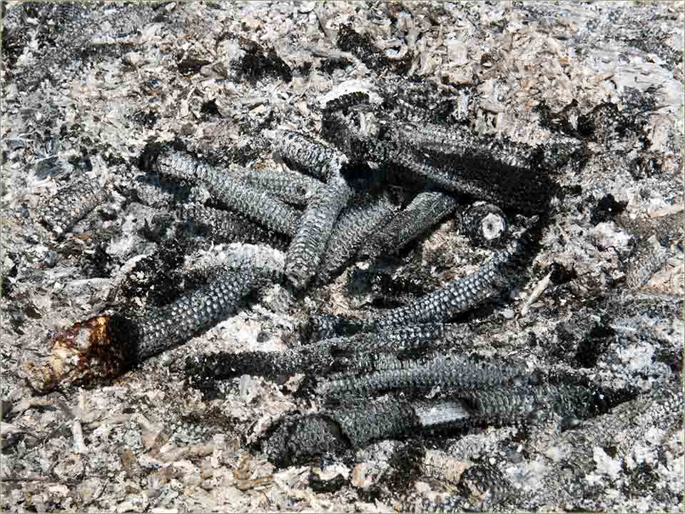 Ajdučki ćevap I ...