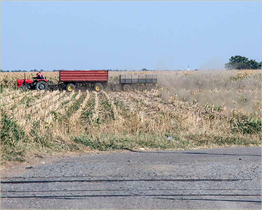 Prašina..., izNje smo i izRastili !!!