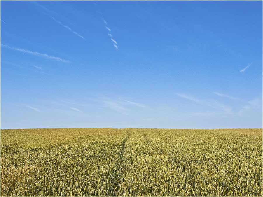 Tipično banatcki XXIII !!!