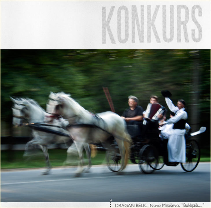 Fejsbukovci..., glasajte za Buklijaše !