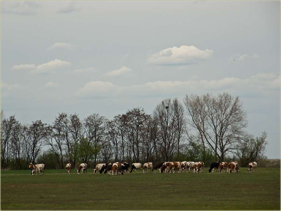 Salaš Đukičin 2009-te i 2012-te...