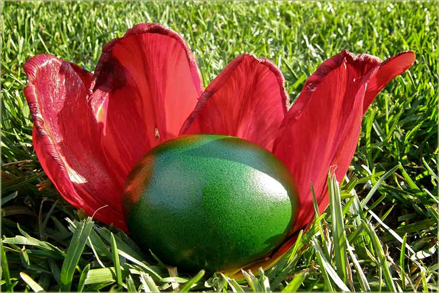 Uskrs po novim kalendaru II !!!