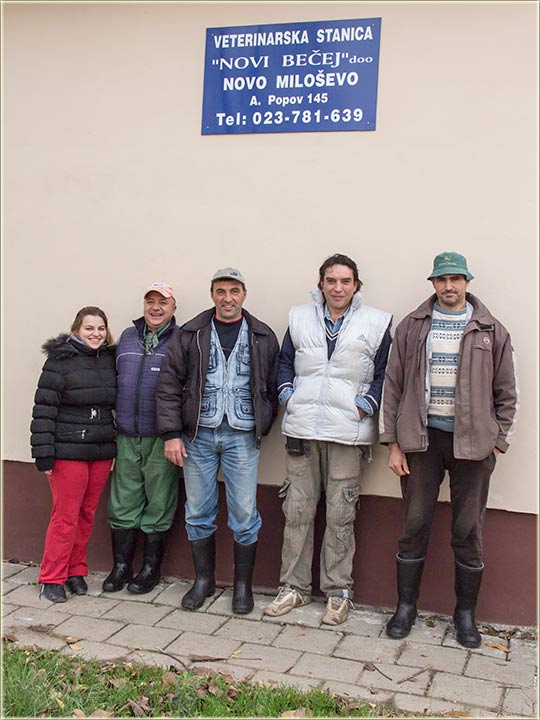 Izlečena kobila !?!