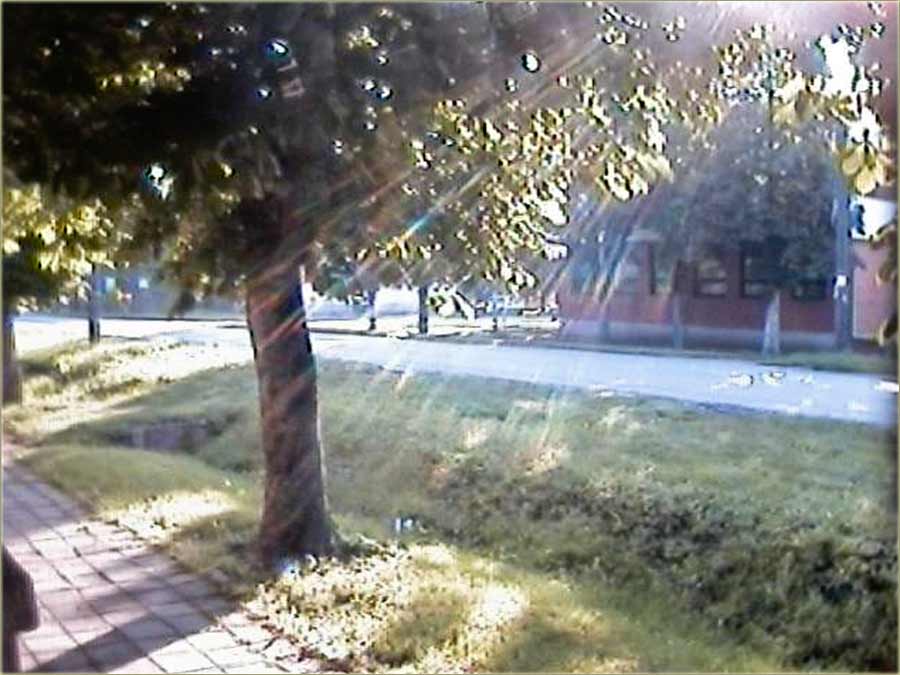 Naša, neumorna web kamera...