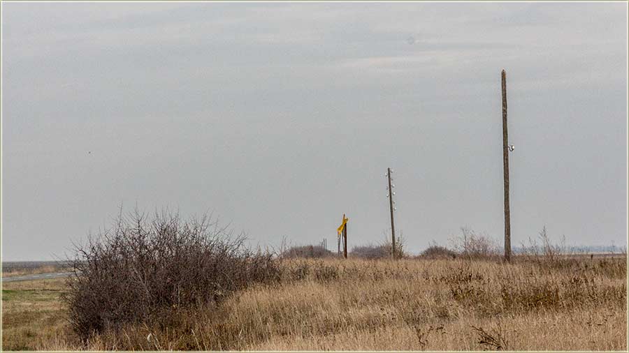 Šta je lakče da se uradi ?