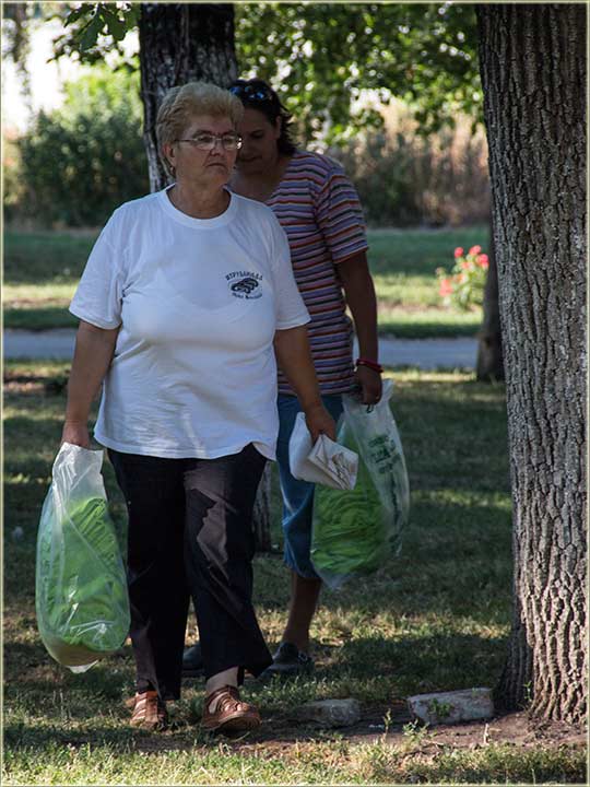 Bruka i sramota novomiloševačka II !!!