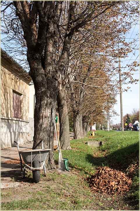 Još edno doVikivanje !!!