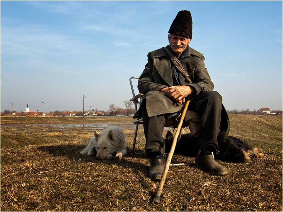 Pesma samo za Novo Miloševo !!!