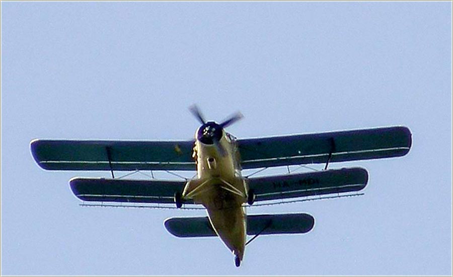 DoLetijo sas avijonom u NM !!!