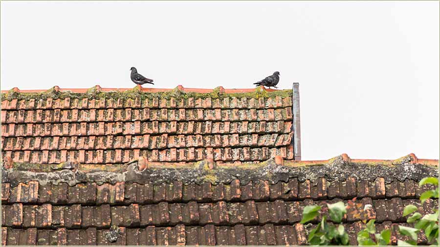 Dođe neki, neki sasvim treći...