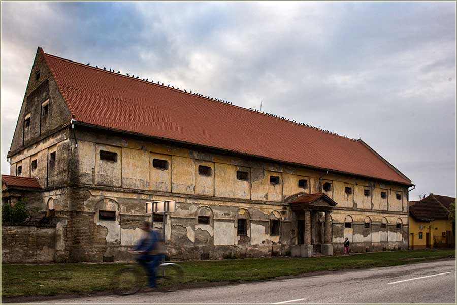 Gulubčije okupljanje...
