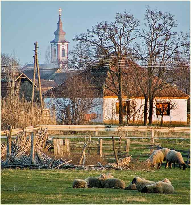 Izišli smo u Politiku...