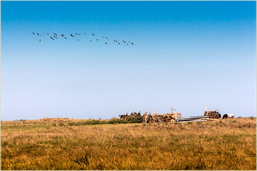 Još uvek je leto !!!