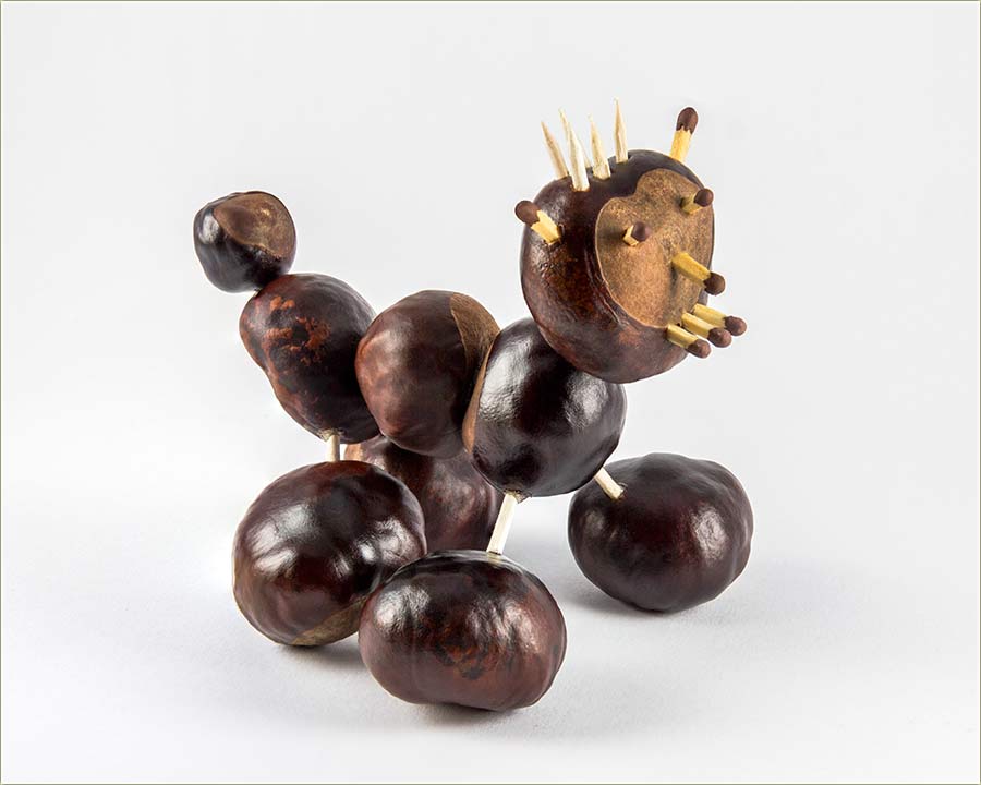 Ker od kestenja, čačkalica, šibica...