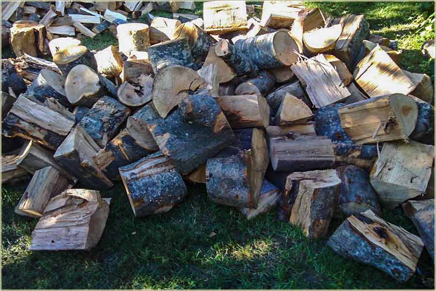 Kod Vrûćini - nema zime !!!