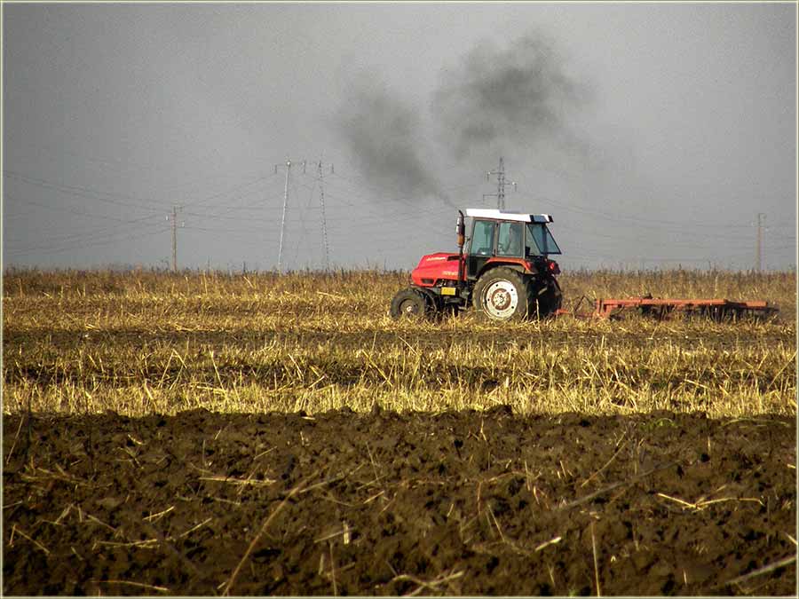 Jal čuješ kako govorim..., kav ptica !!!