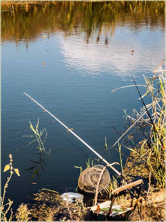 Kako ko vole, da provede nedelju ?