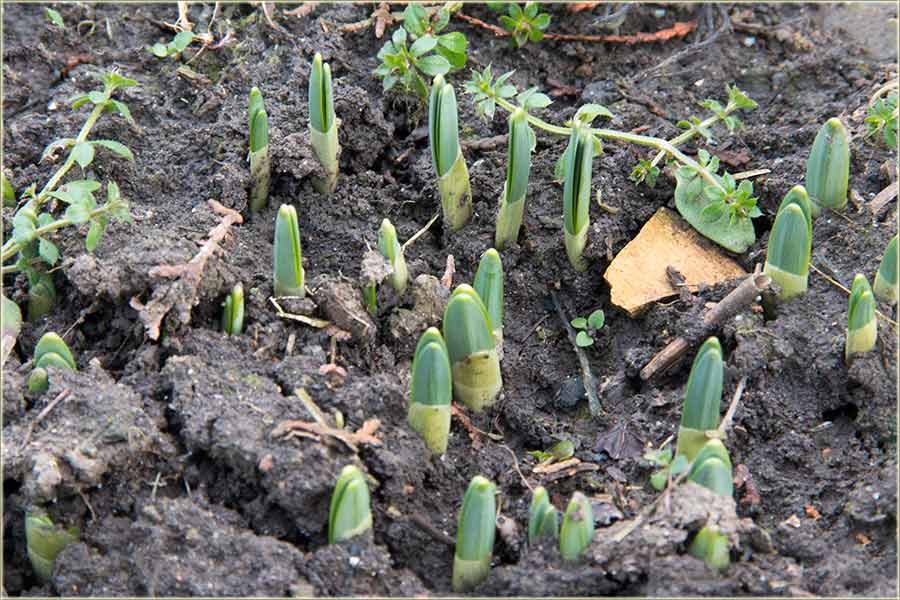 Proleće krećeee !!!