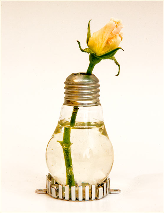 Cvećka u ajzlog PC-dućana BeoDra...