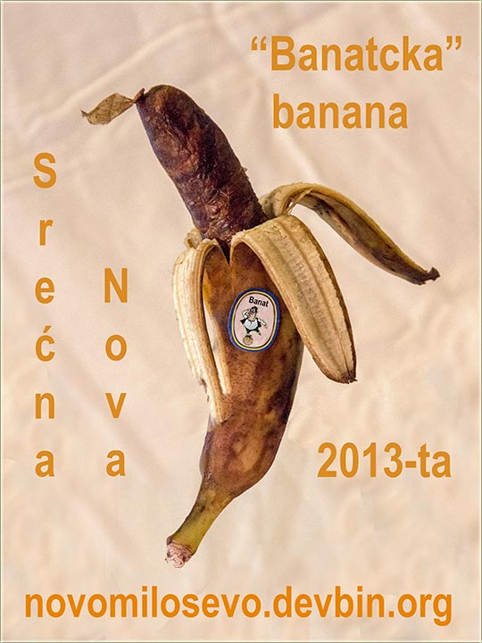 Srećna Nova 2013-ta godina !!!