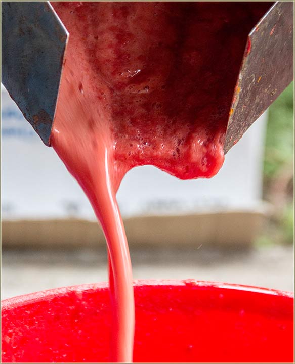 Sizona kuvanja paradajza !!!