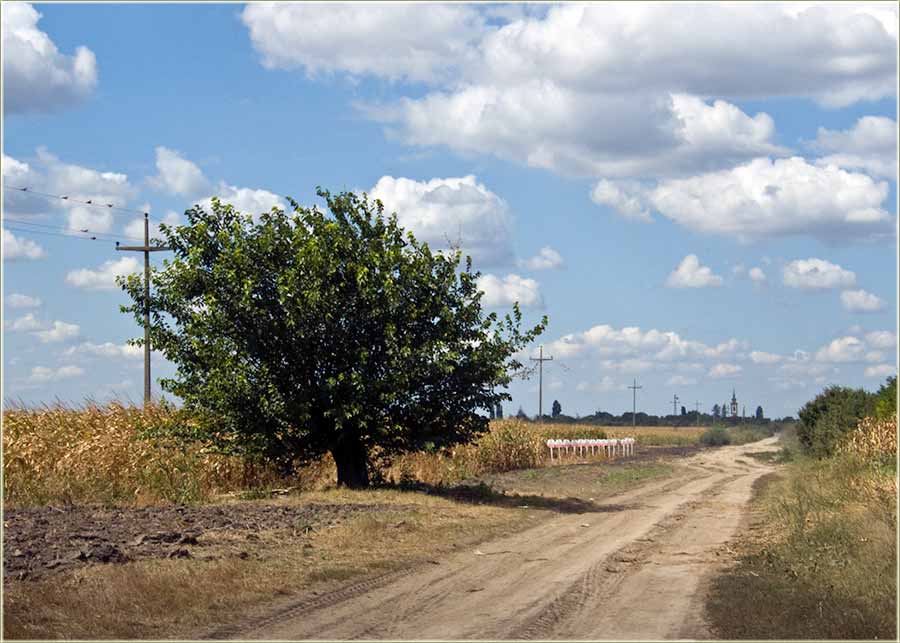 Tipično banatcki XXX ...