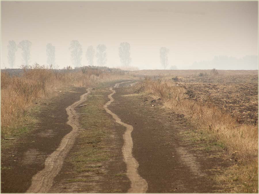 Tragovi ostajedu, po poljskim drumovima