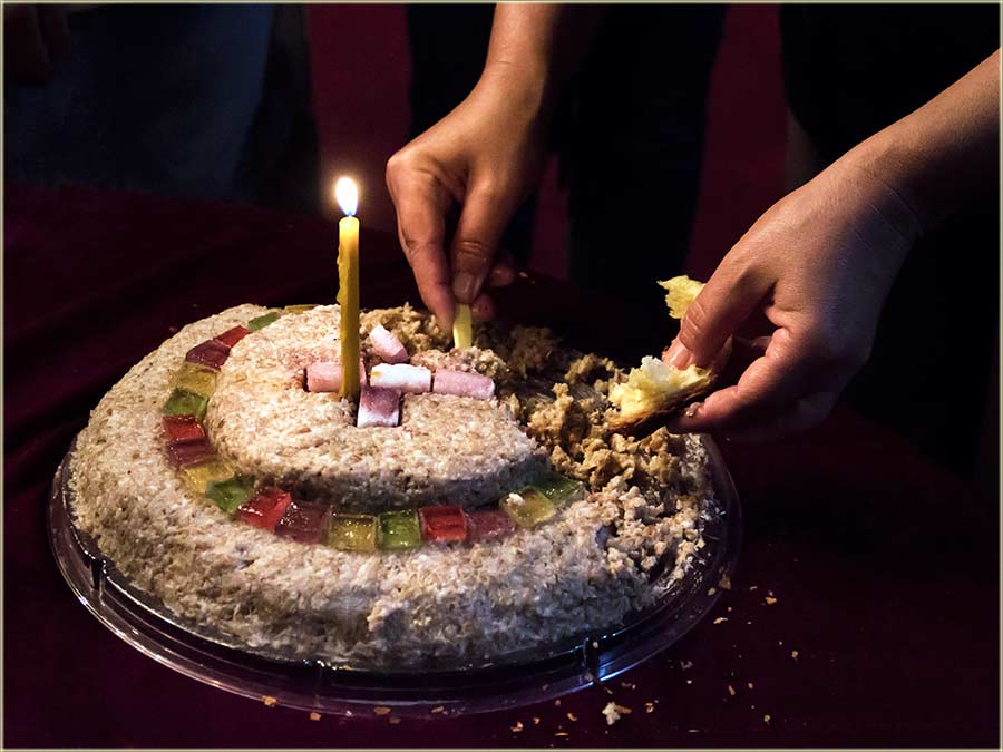 Slava USFV Teodor Pavlović ...