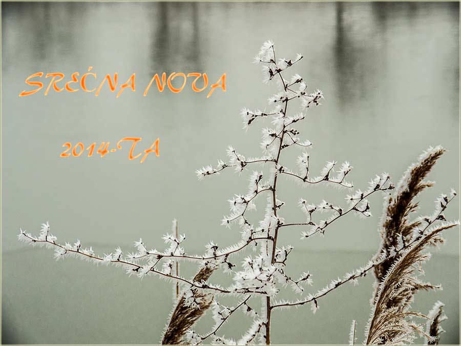 Srećna Nova 2014-ta !!!