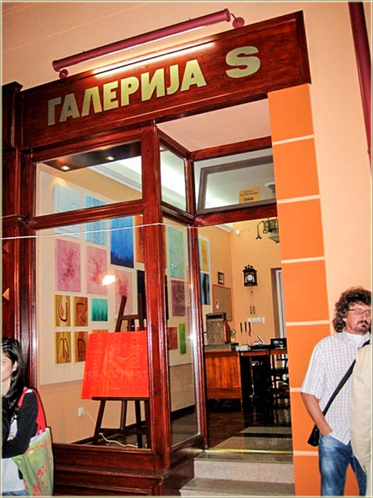 Izložba Ane Vidmar u Galeriju S...