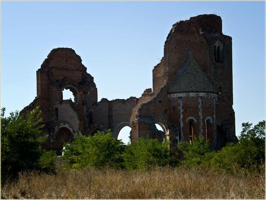 Javijo nam se Radmilo, autor Arača 3D !