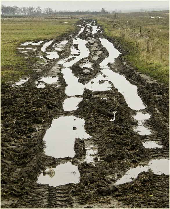 Kad se zaglaviš, a na poljski put...