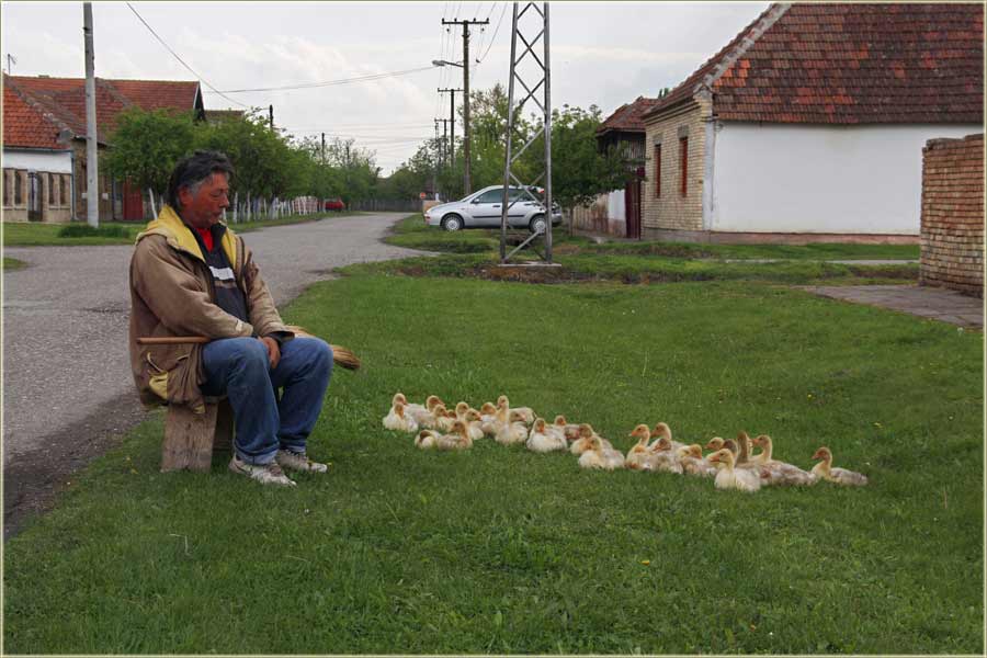 Jêdi nam se Bôda...