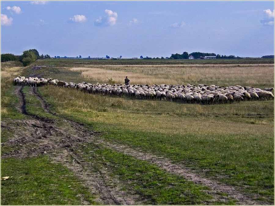 Dal je neko vršijo, posla kiše ?