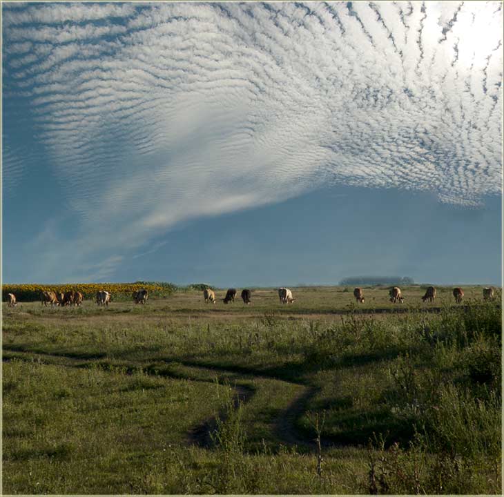 Čudnog li svetla, u ataru našom !!!