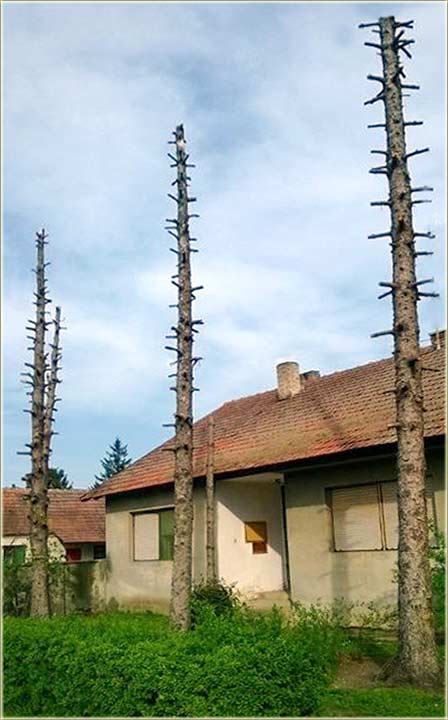 Liči mi na nešto..., al...