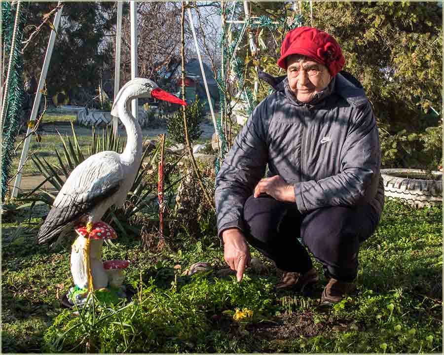 Kod Jeje, cvećke već cvetadu !!!