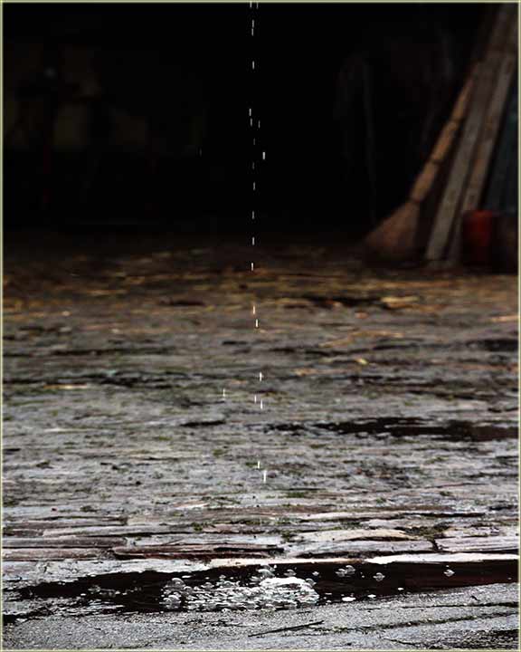 Najveći mi..., komplamenat !!!