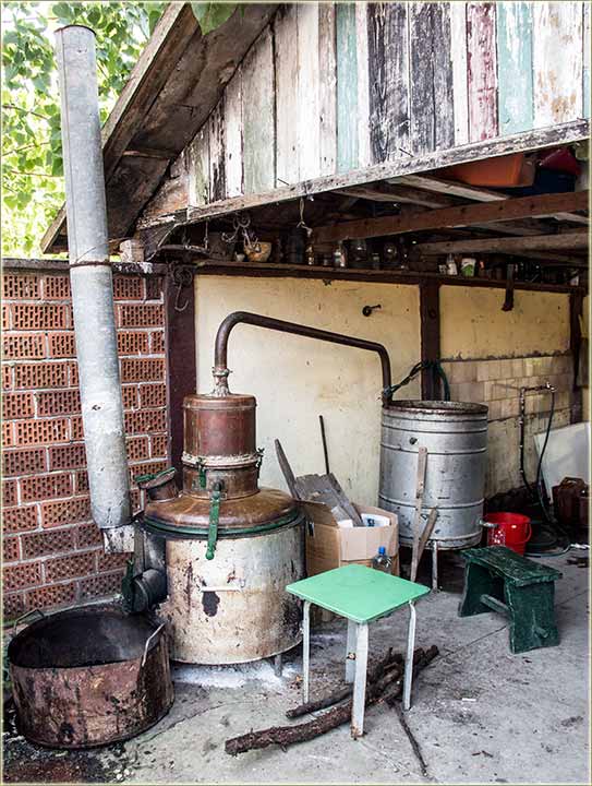 Svi bi da pečedu rakiju !!!