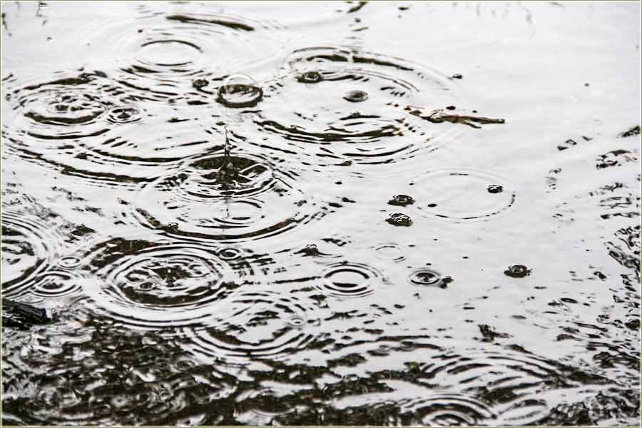 Još samo to da ga naučimo...