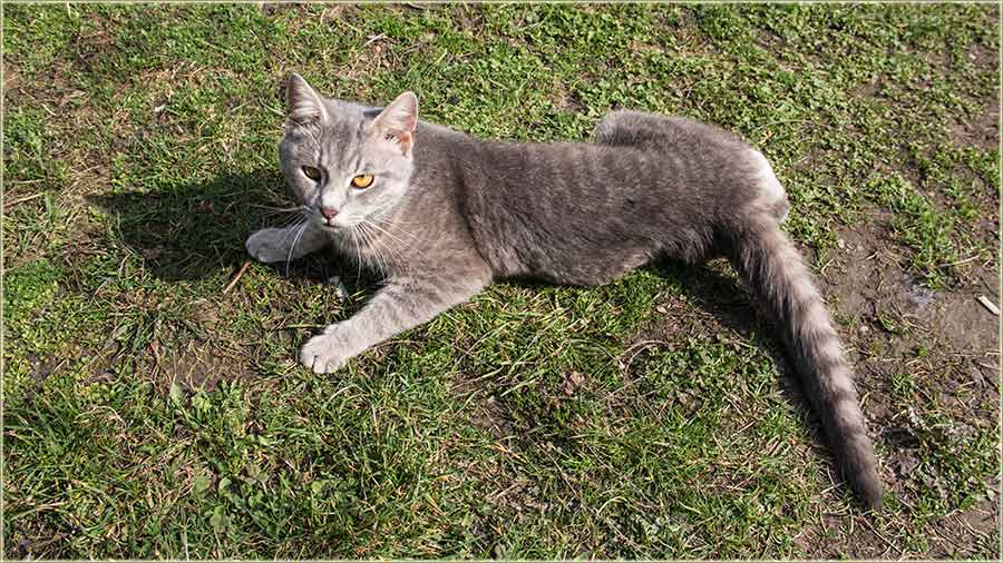 E, kako mož, tako da uživa ?