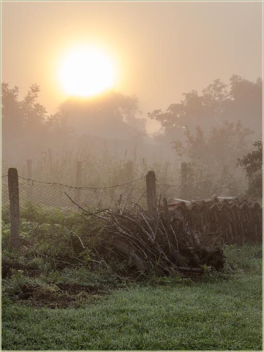 Avgustovske, jutarnje magle...