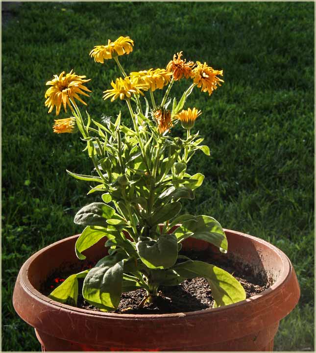 Koristan savet, a iz NM-a !!!