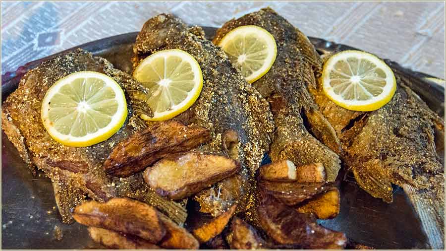 Zimska vedžba zaRibu !!!