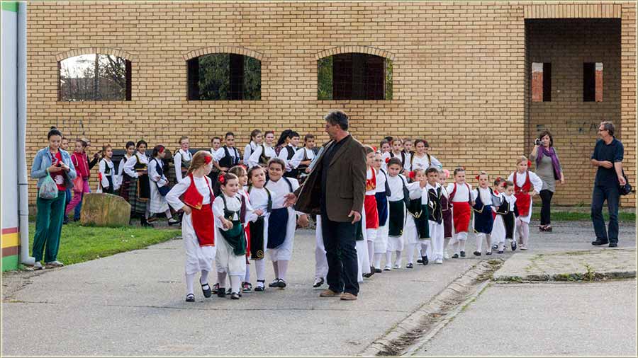 Plodovi jeseni 2014-te V ...