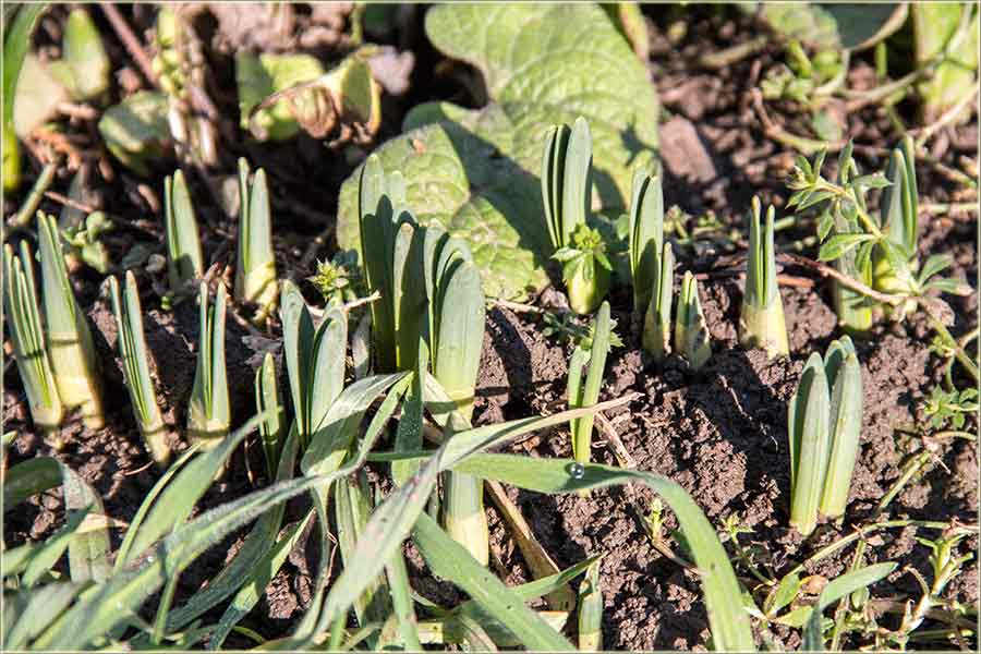 Proleće krećeee !!!