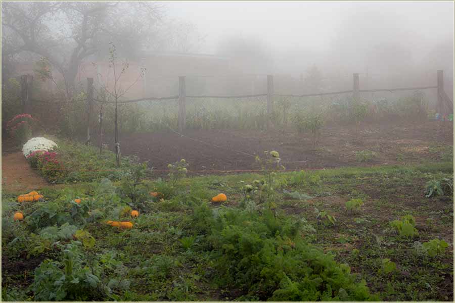 Prvo, pravo, jesenjo, nedeljnjo jutro...